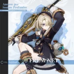 freminet_main_card
