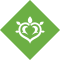 dendro_box